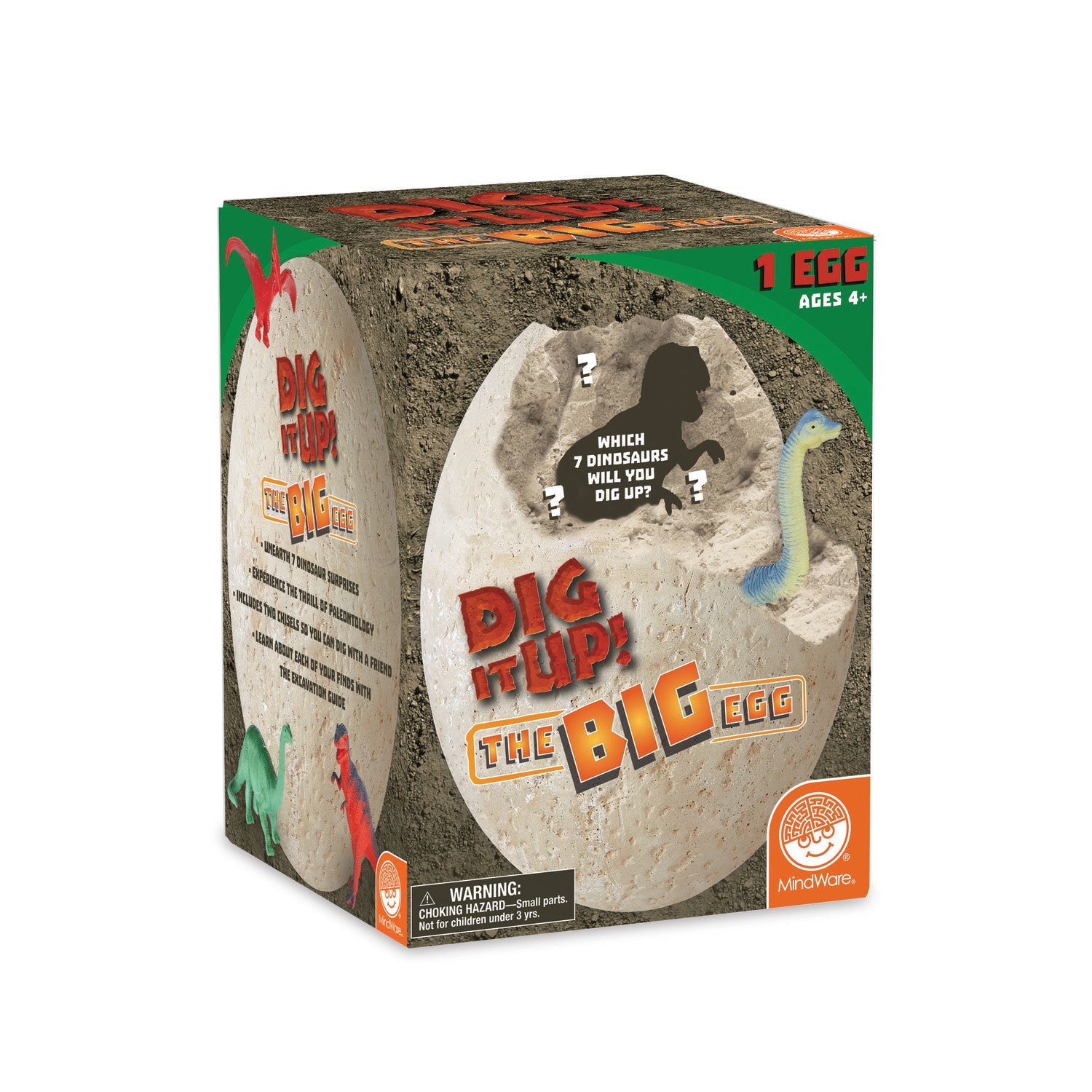 Dig It Up!: The Big Egg Dinosaurs