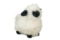 Shiloh Cream Lamb