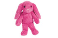Begonia Floppy Bunny, Small