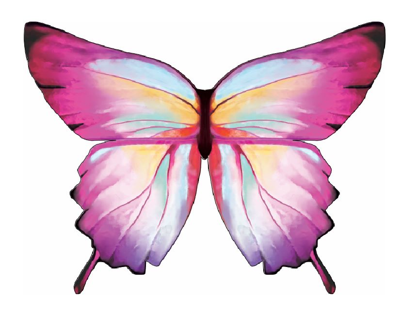 Ombré Butterfly Soft Wings