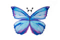 Mythical Butterfly Soft Wings and Headband