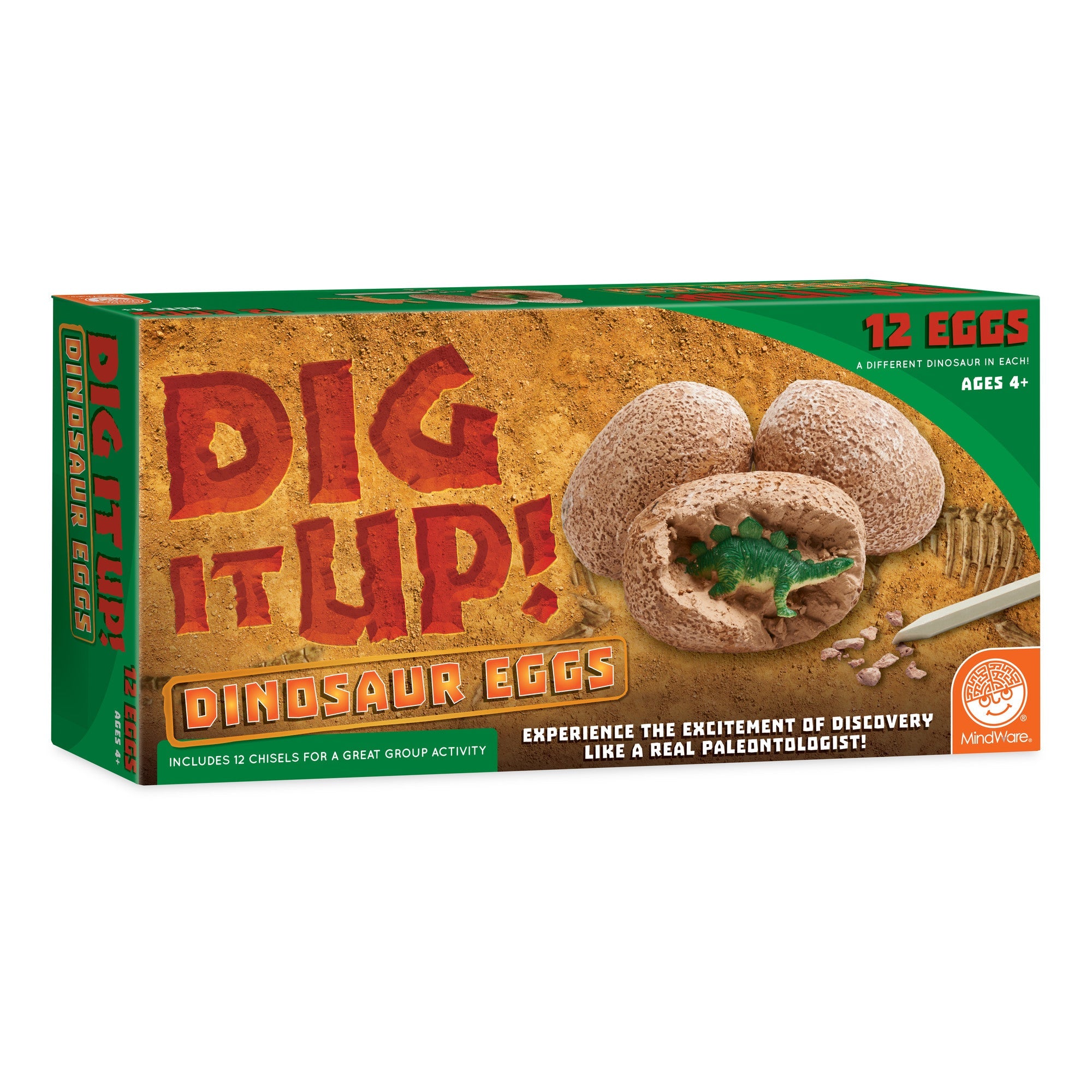 Dig It Up!: Dinosaur Eggs