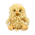 Feathers Chicken