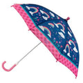 Rainbow Umbrella