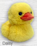 Daisy Duckee, Sm/Yellow