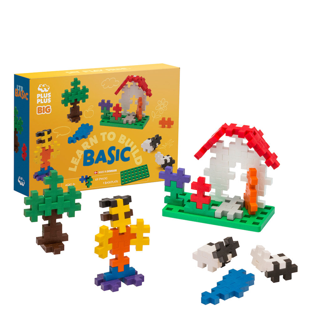 BIG Learn to Build Basic Mix