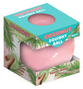 Coconut Squishy Ball